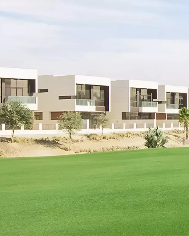 Canvas Premium Plots Canvas Premium Plots