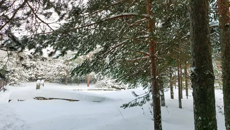 Land Sale, kottedzhny posyolok Krasnovidovo-2, 2, Istra City District, Moscow Region, Russia #4