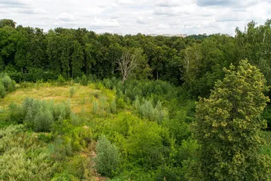 Land Sale, DSK Lesnoye-Ozyornoye, Khimki, Moscow Region, Russia #1 Land Sale, DSK Lesnoye-Ozyornoye, Khimki, Moscow Region, Russia #1