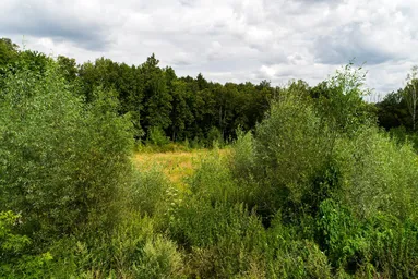 Land Sale, DSK Lesnoye-Ozyornoye, Khimki, Moscow Region, Russia #2 Land Sale, DSK Lesnoye-Ozyornoye, Khimki, Moscow Region, Russia #2