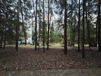 Land Sale at Таганьково, Odintsovskiy Urban District, Moscow Region, Russia #2 Land Sale at Таганьково, Odintsovskiy Urban District, Moscow Region, Russia #2