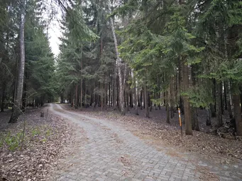 Land Sale at Таганьково, Odintsovskiy Urban District, Moscow Region, Russia #4