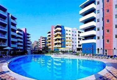 1-BD Apartment Sale, 893 sq. ft., Tower 18, Al Reef Downtown, Al Reef, Abu Dhabi, UAE #1 1-BD Apartment Sale, 893 sq. ft., Tower 18, Al Reef Downtown, Al Reef, Abu Dhabi, UAE #1