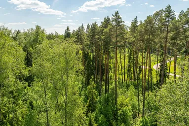 Land Sale at Бенилюкс, derevnya Chesnokovo, Istra City District, Moscow Region, Russia #4