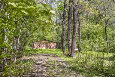 Land Sale at Новодарьино РАН, derevnya Novodaryino, Odintsovskiy Urban District, Moscow Region, Russia #4