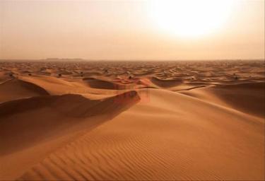 Land Sale, Mulberry, Damac Hills 2, Dubai, UAE #1 Land Sale, Mulberry, Damac Hills 2, Dubai, UAE #1