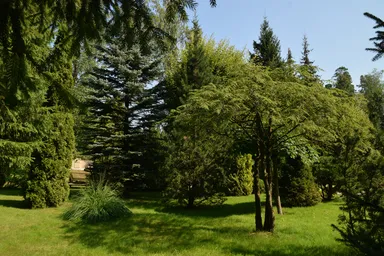 8-BD House Sale, 1,100 sq. m. at Лесной Простор, Odintsovskiy Urban District, Moscow Region, Russia #4