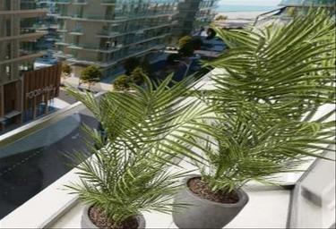 2-BD Apartment Sale, 1,000 sq. ft., The Source, Saadiyat Cultural District, Saadiyat Island, Abu Dhabi, UAE #2 2-BD Apartment Sale, 1,000 sq. ft., The Source, Saadiyat Cultural District, Saadiyat Island, Abu Dhabi, UAE #2