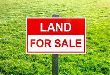 Land Sale, Al Tallah 2, Ajman, UAE #4