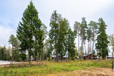 Land Sale, kottedzhny posyolok Geodar, selo Islavskoye, Odintsovskiy Urban District, Moscow Region, Russia #2 Land Sale, kottedzhny posyolok Geodar, selo Islavskoye, Odintsovskiy Urban District, Moscow Region, Russia #2