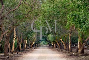 Land Sale at Rawya, Al Jurf Gardens, AlJurf, Ghantoot, Abu Dhabi, UAE #1 Land Sale at Rawya, Al Jurf Gardens, AlJurf, Ghantoot, Abu Dhabi, UAE #1