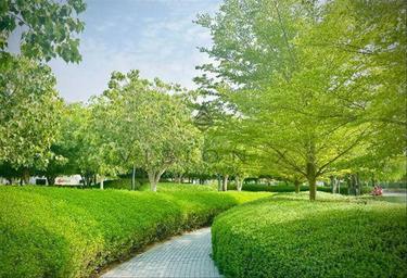 2-BD Apartment Sale, 1,000 sq. ft., MISK Apartments, Aljada, Sharjah, UAE #4