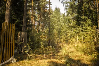 Land Sale at Сады Майендорф, Barvikha Settlement, Odintsovskiy Urban District, Moscow Region, Russia #4