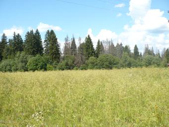 Land Sale at Сколково, Odintsovskiy City District, Moscow Region, Russia #1 Land Sale at Сколково, Odintsovskiy City District, Moscow Region, Russia #1