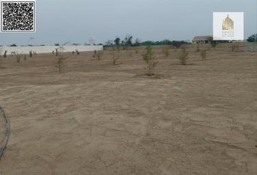 Land Sale, Al Dhaid, Sharjah, UAE #1 Land Sale, Al Dhaid, Sharjah, UAE #1