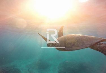 Land Sale at Rawya, Al Jurf Gardens, AlJurf, Ghantoot, Abu Dhabi, UAE #4