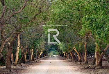 Land Sale at Rawya, Al Jurf Gardens, AlJurf, Ghantoot, Abu Dhabi, UAE #2 Land Sale at Rawya, Al Jurf Gardens, AlJurf, Ghantoot, Abu Dhabi, UAE #2