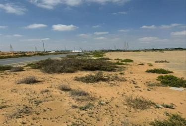 Land Sale, Al Alia, Ajman, UAE #4