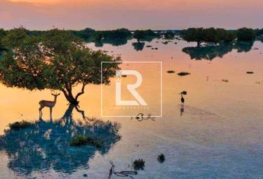 Land Sale, Seef Al Jubail, Al Jubail Island, Abu Dhabi, UAE #3 Land Sale, Seef Al Jubail, Al Jubail Island, Abu Dhabi, UAE #3