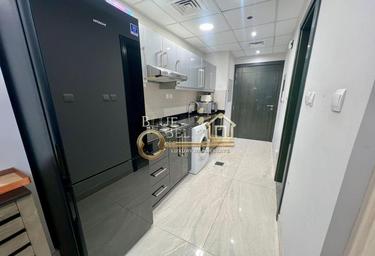 Apartment Sale, 494 sq. ft., Elite Business Bay Residence, Business Bay, Dubai, UAE #3