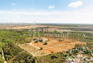 Land Sale at Almeria, Zayed City (Khalifa City C), Khalifa City, Abu Dhabi, UAE #1 Land Sale at Almeria, Zayed City (Khalifa City C), Khalifa City, Abu Dhabi, UAE #1