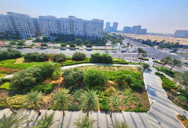Продажа 3-комн. квартиры, 1 000 фут², SAFI 1B, Town Square, Dubai, UAE #3 Продажа 3-комн. квартиры, 1 000 фут², SAFI 1B, Town Square, Dubai, UAE #3
