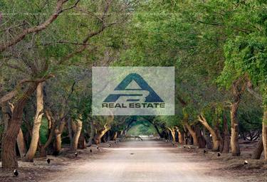 3-BD Apartment Sale, 1,000 sq. ft., SHA Residences, AlJurf, Ghantoot, Abu Dhabi, UAE #2 3-BD Apartment Sale, 1,000 sq. ft., SHA Residences, AlJurf, Ghantoot, Abu Dhabi, UAE #2