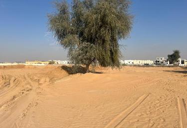 Land Sale, Al Helio 1, Al Helio, Ajman, UAE #2 Land Sale, Al Helio 1, Al Helio, Ajman, UAE #2