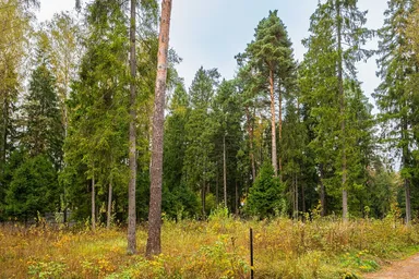 Land Sale, kottedzhny posyolok Geodar, selo Islavskoye, Odintsovskiy Urban District, Moscow Region, Russia #3 Land Sale, kottedzhny posyolok Geodar, selo Islavskoye, Odintsovskiy Urban District, Moscow Region, Russia #3