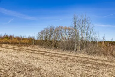 Land Sale, derevnya Novoseltsevo, Mytishi Urban District, Moscow Region, Russia #2 Land Sale, derevnya Novoseltsevo, Mytishi Urban District, Moscow Region, Russia #2