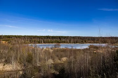 Land Sale, derevnya Novoseltsevo, Mytishi Urban District, Moscow Region, Russia #4