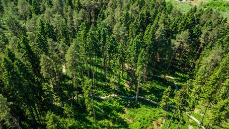 Land Sale at Никологорское, posyolok Nikolina Gora, Odintsovskiy Urban District, Moscow Region, Russia #4