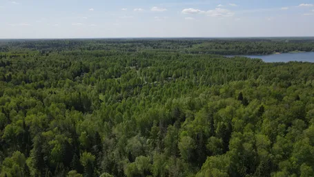 Land Sale, DNT Ozerna, Ruzskiy Municipal District, Moscow Region, Russia #1 Land Sale, DNT Ozerna, Ruzskiy Municipal District, Moscow Region, Russia #1