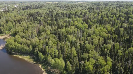 Land Sale, DNT Ozerna, Ruzskiy Municipal District, Moscow Region, Russia #4