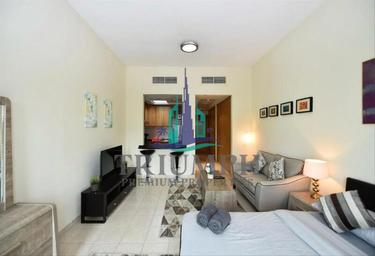 Apartment Sale, 484 sq. ft., Building 148 to Building 202, Mogul Cluster, Discovery Gardens, Dubai, UAE #3