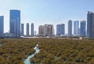 1-BD Apartment Sale, 708 sq. ft. at Reem Eleven, Al Reem Island, Abu Dhabi, UAE #3 1-BD Apartment Sale, 708 sq. ft. at Reem Eleven, Al Reem Island, Abu Dhabi, UAE #3