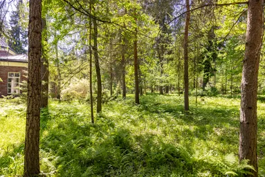 Land Sale, SNT Porechye, Odintsovskiy Urban District, Moscow Region, Russia #2 Land Sale, SNT Porechye, Odintsovskiy Urban District, Moscow Region, Russia #2