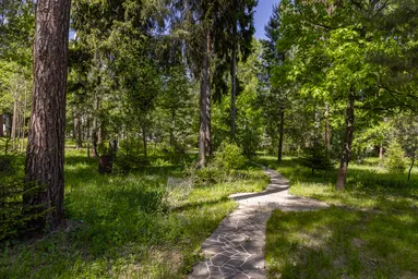 Land Sale, SNT Porechye, Odintsovskiy Urban District, Moscow Region, Russia #1 Land Sale, SNT Porechye, Odintsovskiy Urban District, Moscow Region, Russia #1
