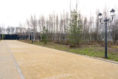 Land Sale, KP Romashkovo-21, Romashkovo Village, Odintsovskiy Urban District, Moscow Region, Russia #1