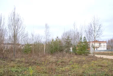 Land Sale, KP Romashkovo-21, Romashkovo Village, Odintsovskiy Urban District, Moscow Region, Russia #1 Land Sale, KP Romashkovo-21, Romashkovo Village, Odintsovskiy Urban District, Moscow Region, Russia #1