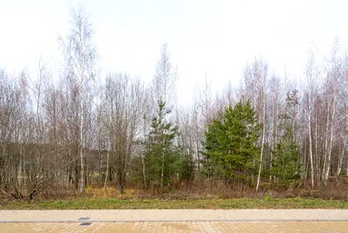 Land Sale, KP Romashkovo-21, Romashkovo Village, Odintsovskiy Urban District, Moscow Region, Russia #4