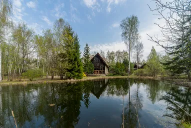 4-BD House Sale, 1,540 sq. m., Vyoshki Settlement, Mytishi Urban District, Moscow Region, Russia #1