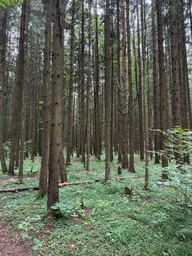 Land Sale, KP Zelyonyye kholmy, derevnya Pershino, Naro-Fominskiy City District, Moscow Region, Russia #1 Land Sale, KP Zelyonyye kholmy, derevnya Pershino, Naro-Fominskiy City District, Moscow Region, Russia #1