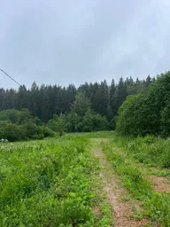 Land Sale, territoriya Gornolyzhny kurort Sorochany, Dmitrovskiy District, Moscow Region, Russia #1 Land Sale, territoriya Gornolyzhny kurort Sorochany, Dmitrovskiy District, Moscow Region, Russia #1
