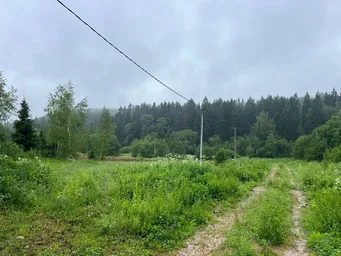 Land Sale, territoriya Gornolyzhny kurort Sorochany, Dmitrovskiy District, Moscow Region, Russia #2 Land Sale, territoriya Gornolyzhny kurort Sorochany, Dmitrovskiy District, Moscow Region, Russia #2