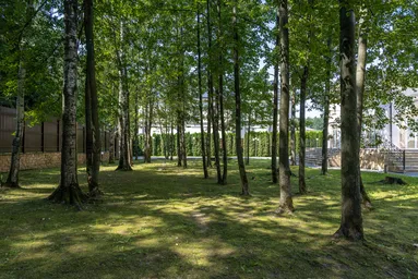 7-BD House Sale, 1,832.5平方米, PSK Barvikha, Odintsovskiy Urban District, Moscow Region, Russia #3