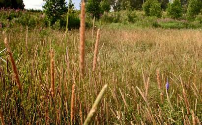 Land Sale at Бузаево, Odintsovskiy City District, Moscow Region, Russia #3