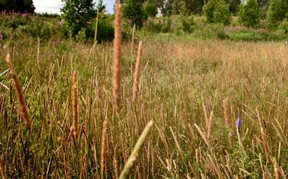 Land Sale at Бузаево, Odintsovskiy City District, Moscow Region, Russia #1