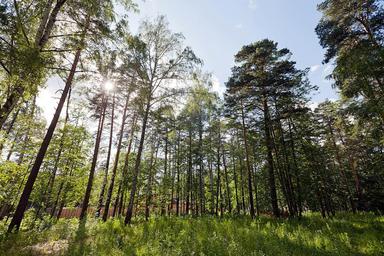 Land Sale at Горки-6, Krasnogorsk Urban District, Moscow Region, Russia #1