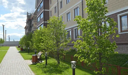 Mechta New Development #2 Mechta New Development #2